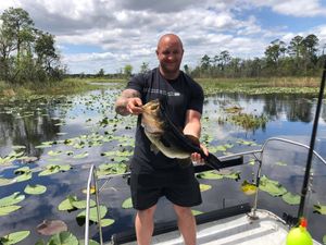 Largemouth Bass Lake Fishing Florida